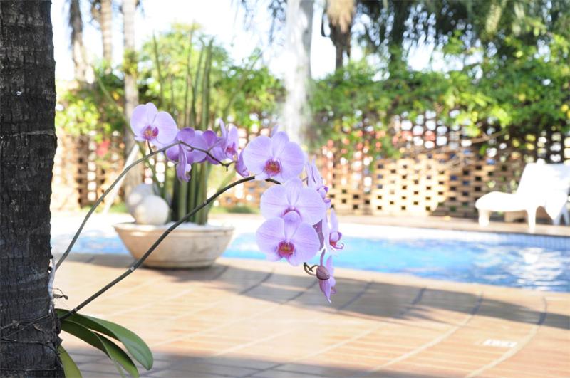 Vila Romana Park Hotel photo 2