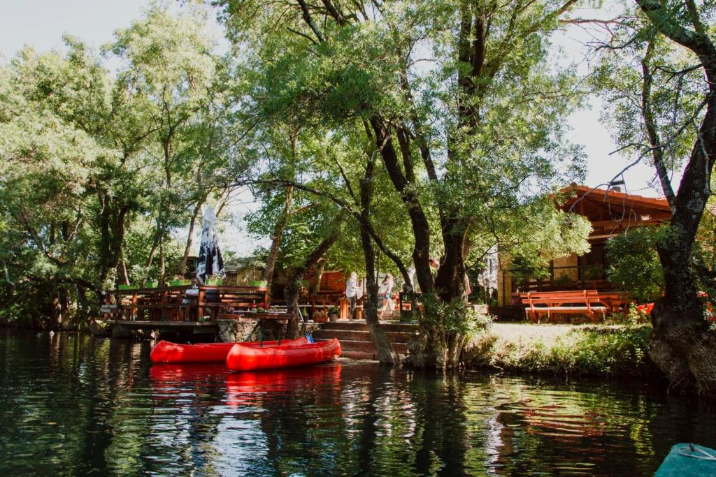 Vacation Home Hercegovka