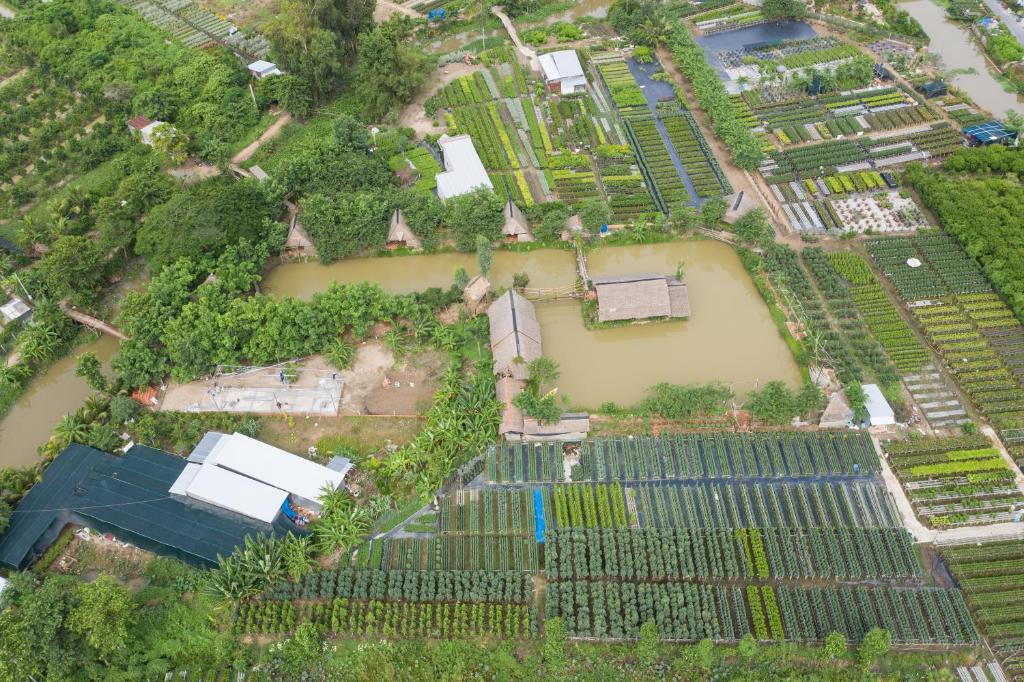 Maison en Bambou Phong-Le Vent