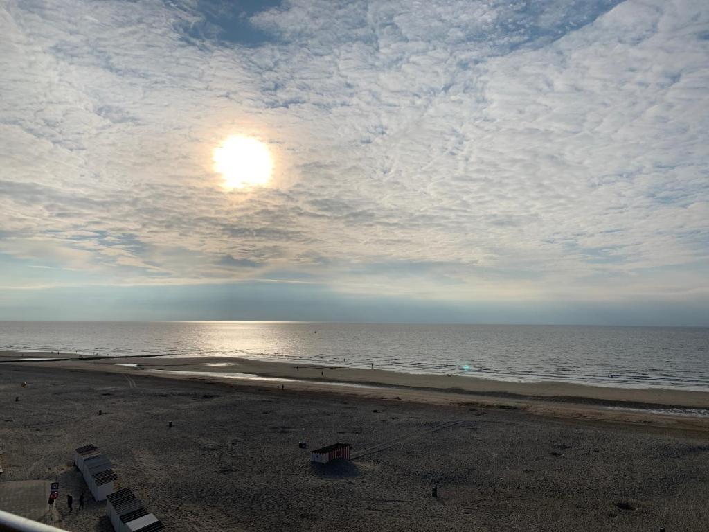 Parel aan het strand photo 1