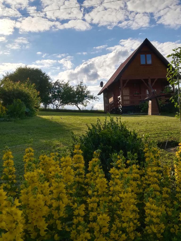 PILGRIM domek gościnny w Gietrzwałdzie na Warmii photo 3