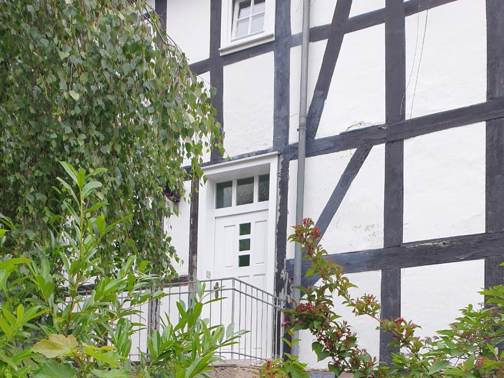Neu Gemütliche Ferienhaus mit 3 Ferienwohnungen "Max " , " Leonore " und "Beatrice" photo 4