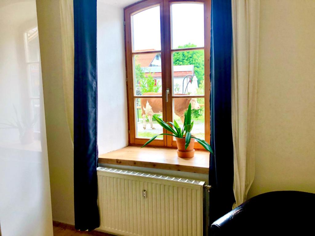 Im Herzen von Ohlstadt und am Fusse des Heimgartens photo 4