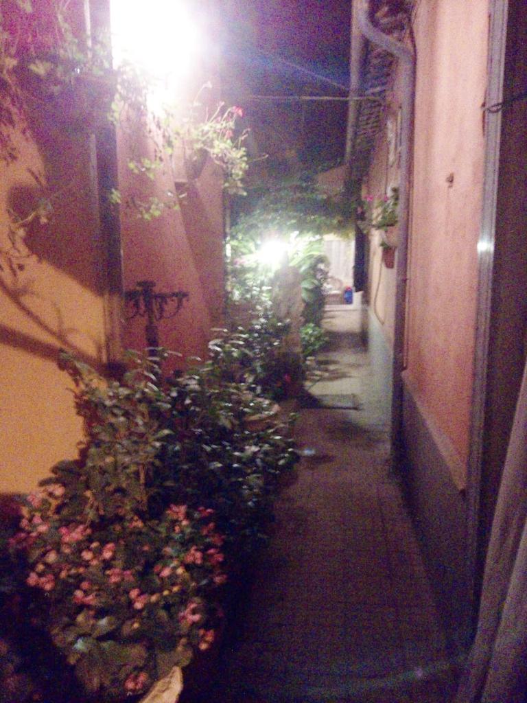 Casa "Oasi" Centro Storico photo 3