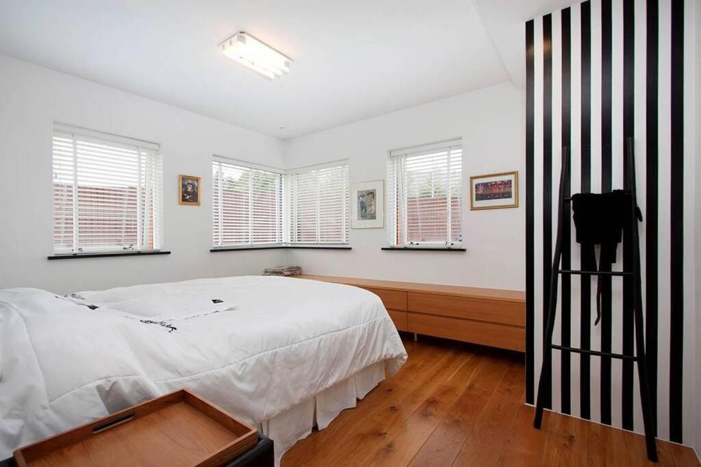 Sunny and Spacious Luxury House photo 2