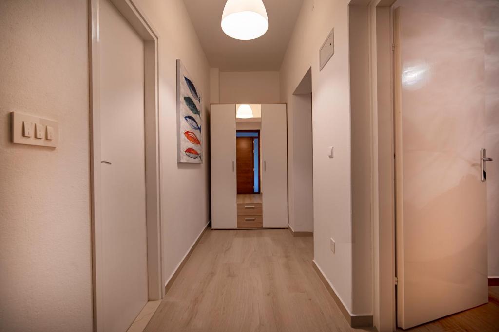 Apartment IVA photo 2