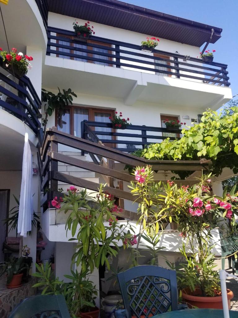 Vila Liliana photo 1