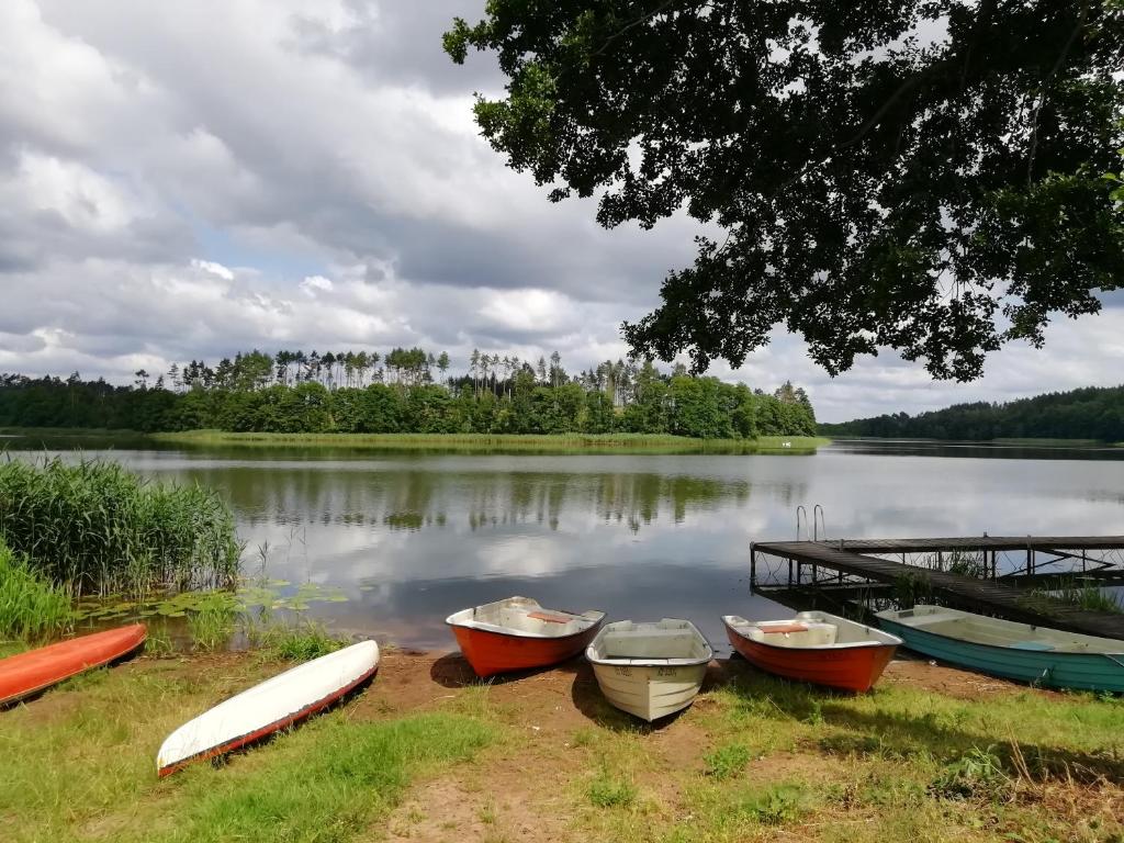 Ośrodek wczasowy Raciąż photo 2