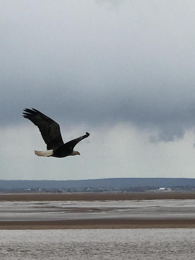 Cresthaven By the Sea photo 3