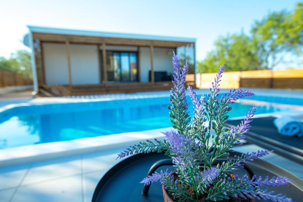 Holiday Home Relax photo 4
