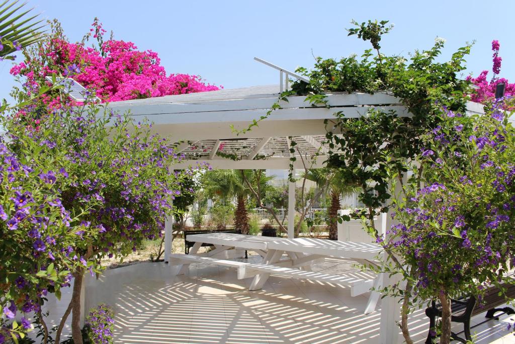 Caesar Beach Villas and Apartments photo 4