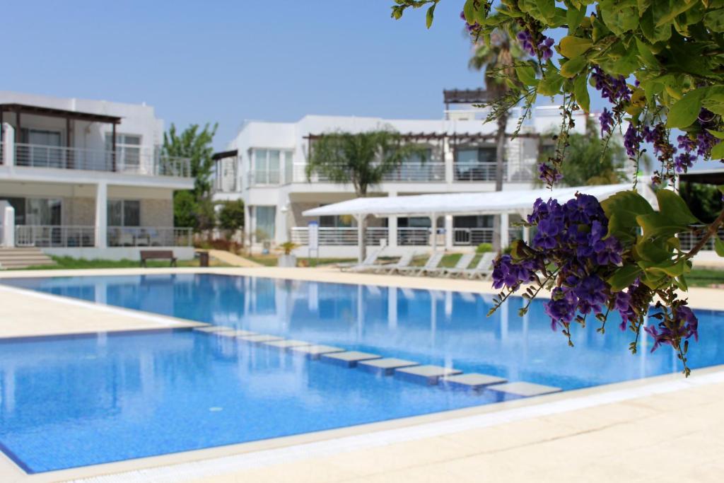 Caesar Beach Villas and Apartments photo 1
