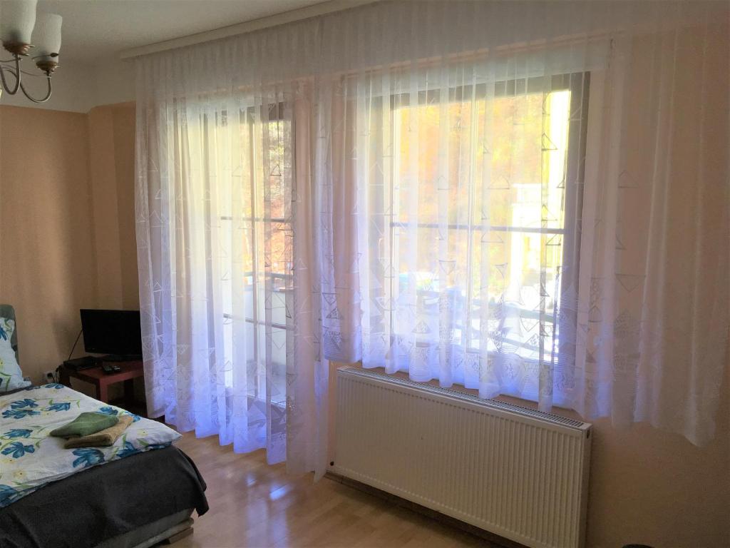 Apartmany Jachymov photo 3