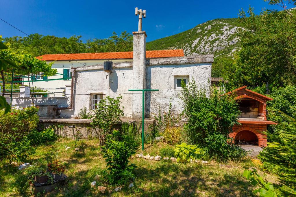 House Annie photo 3