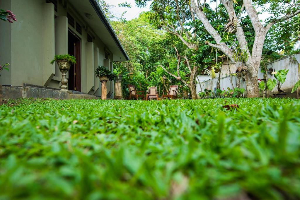 Deniyawatta Bungalow photo 1