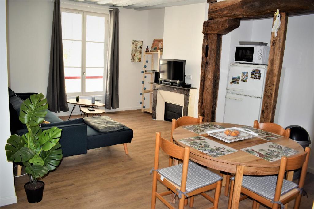 Gite Le Nid des Zoo Zio, 5mn Beauval, appartement terrasse centre-ville photo 2