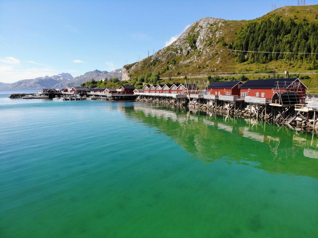 Lofoten Basecamp photo 3