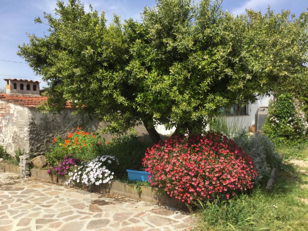 Chez Raz B&B photo 1