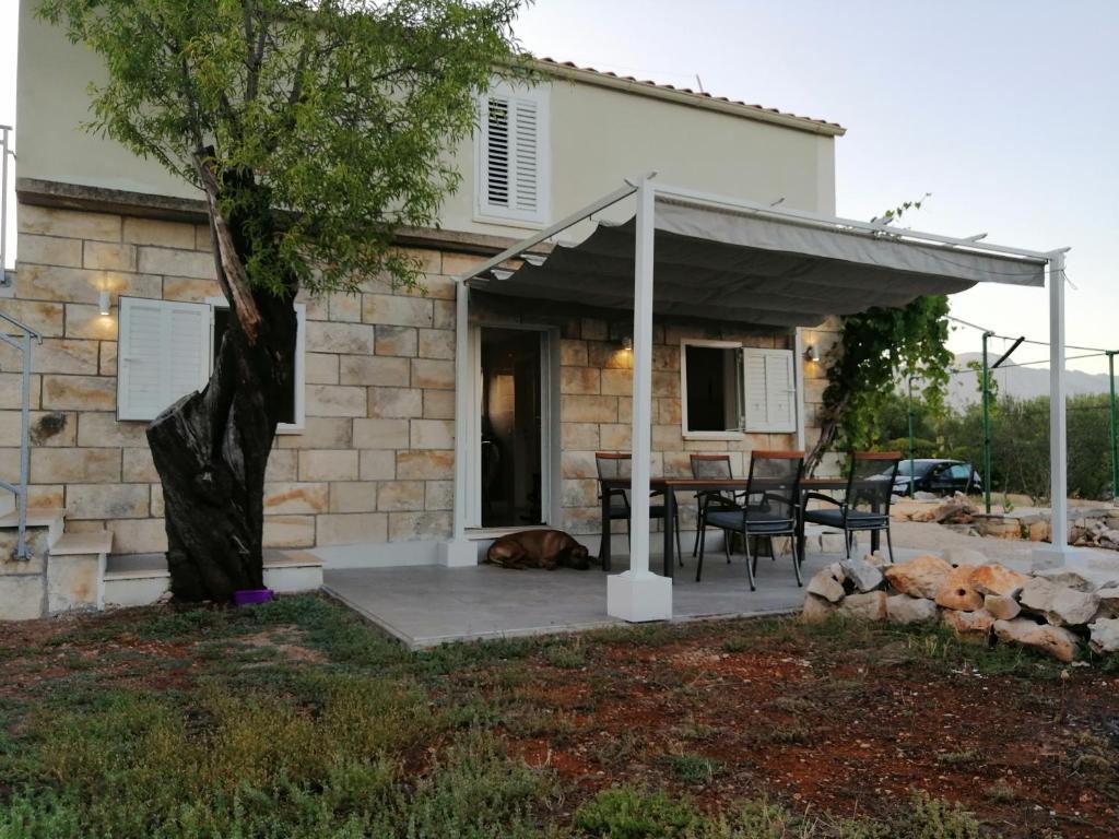Olive Grove House Lumbarda photo 4