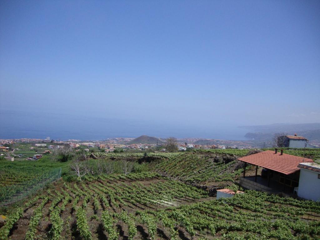 Casitas La Brenda y La Gaga photo 3