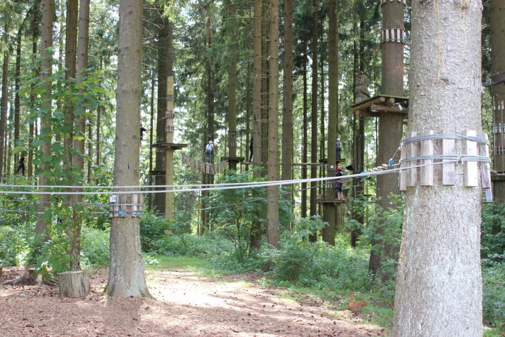 fewogriebelschied photo 2