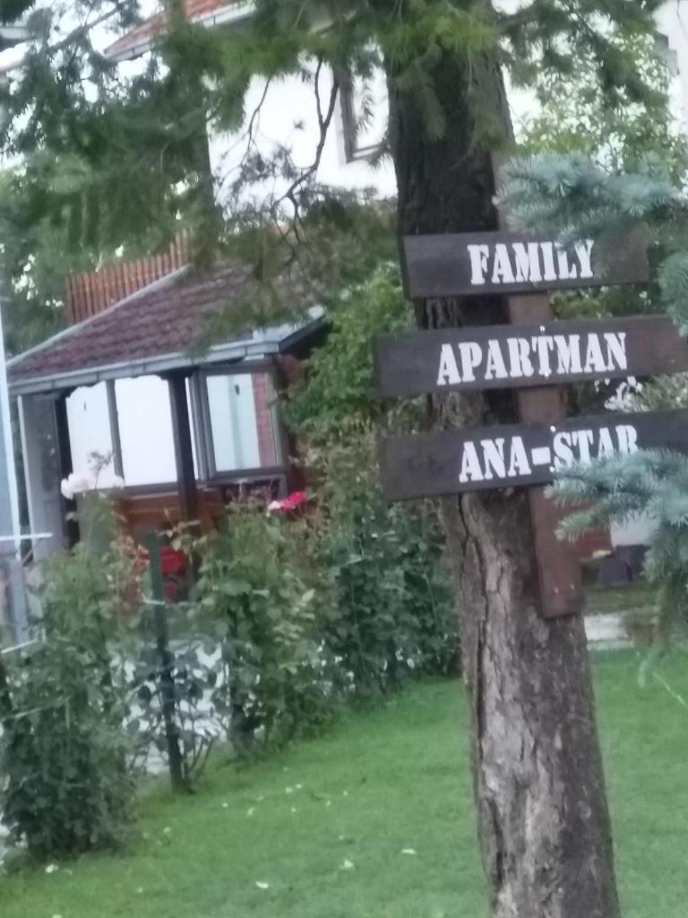 Family apartman Ana - Star photo 4