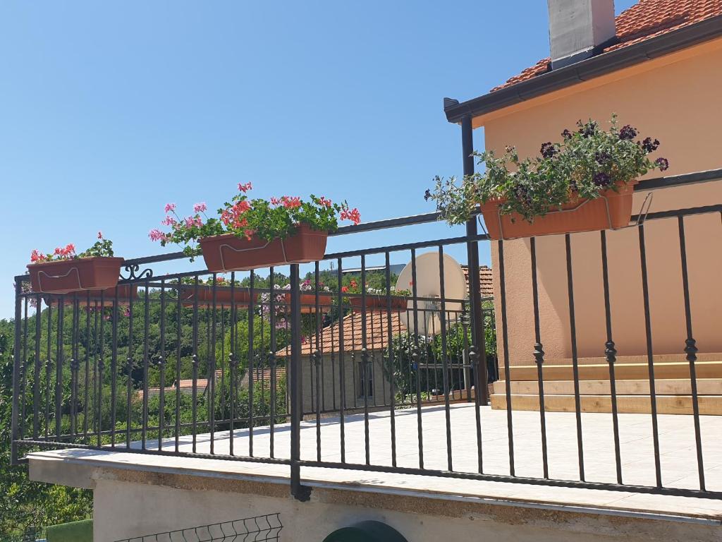 Holiday house LUMA photo 2
