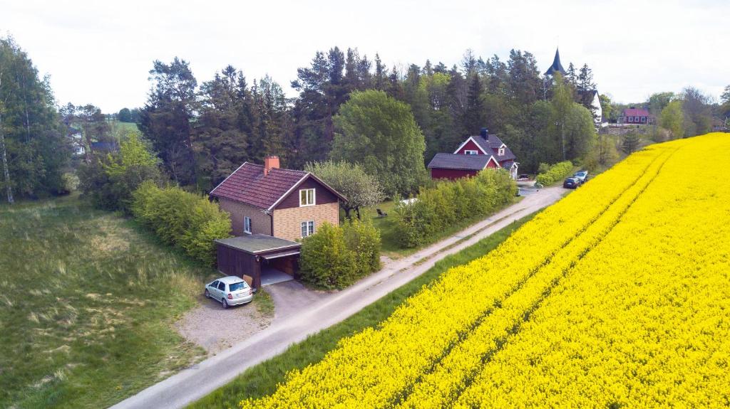 The Cozy Little House photo 2
