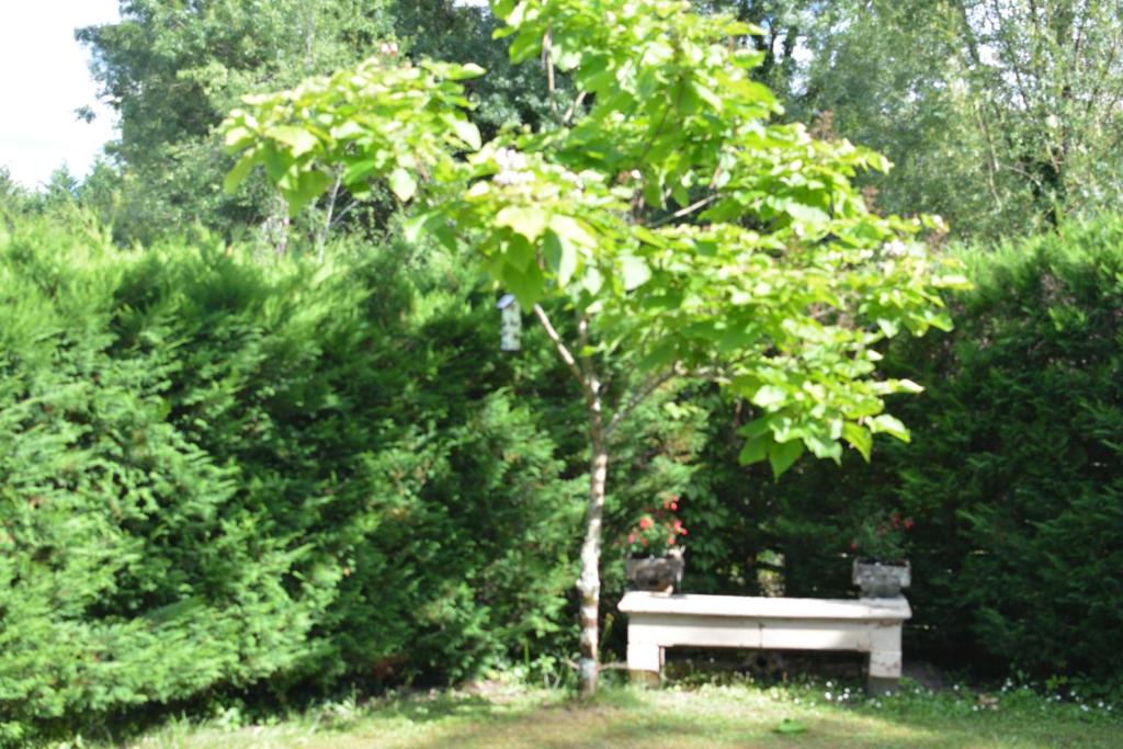 Au Cœur de Ménestérol photo 1