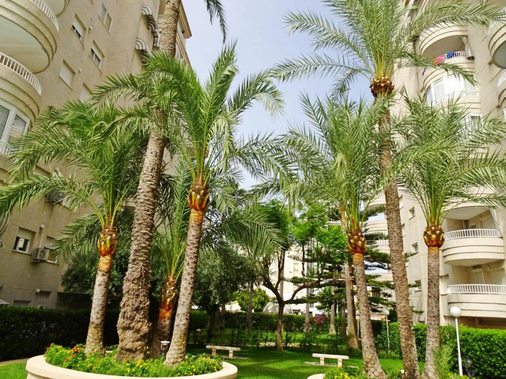 TROPICANA GANDIA - Alquiler sólo Familias photo 2