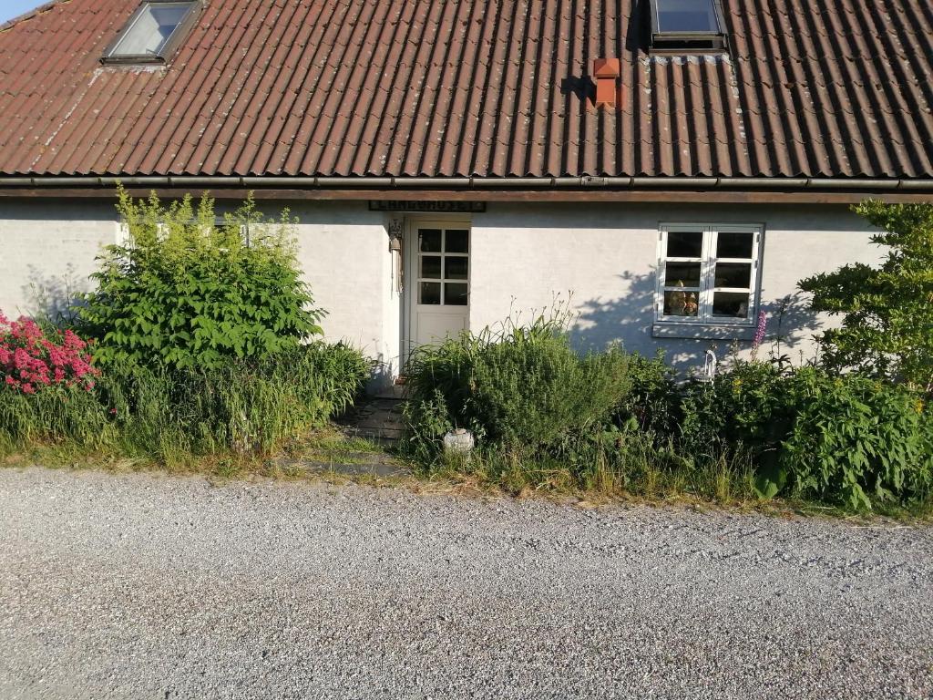 Langøhuset, Rugen