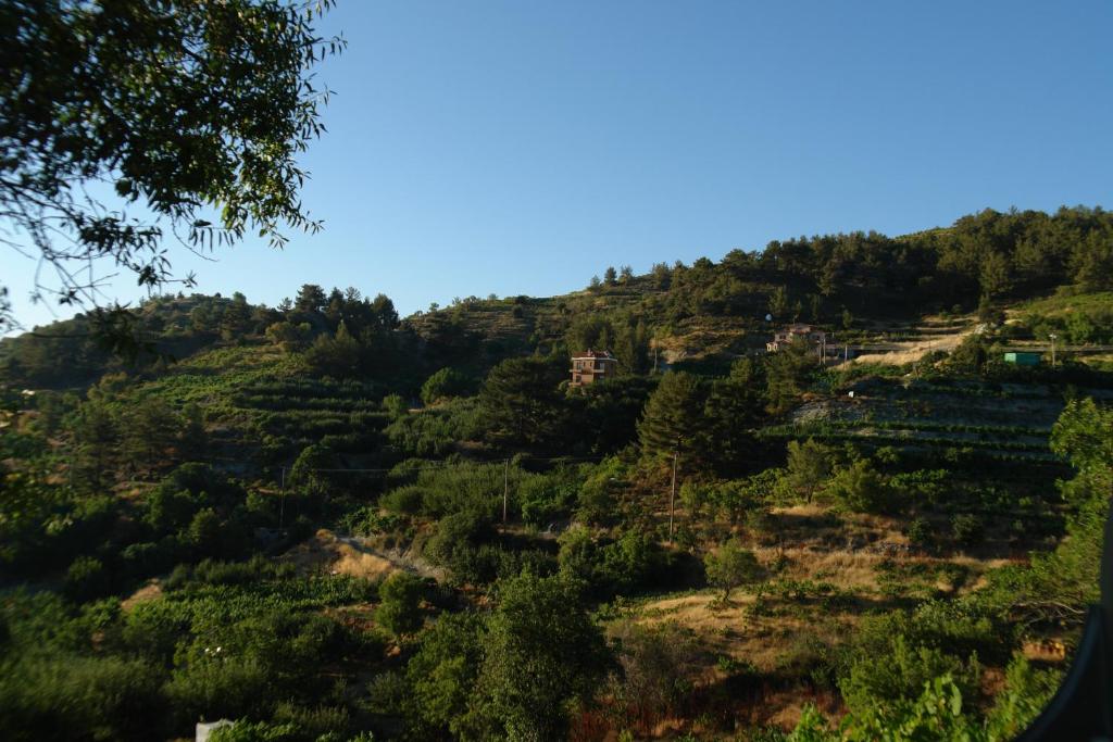 Ilioni Cottage by AgroHolidays photo 1