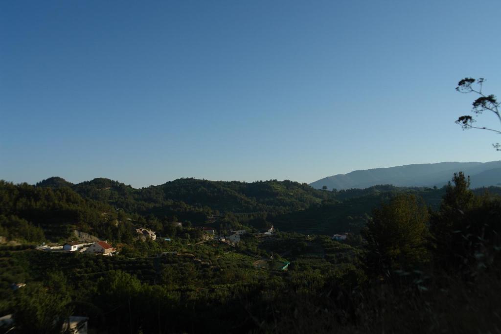 Ilioni Cottage by AgroHolidays photo 3