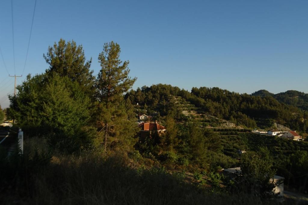 Ilioni Cottage by AgroHolidays photo 4