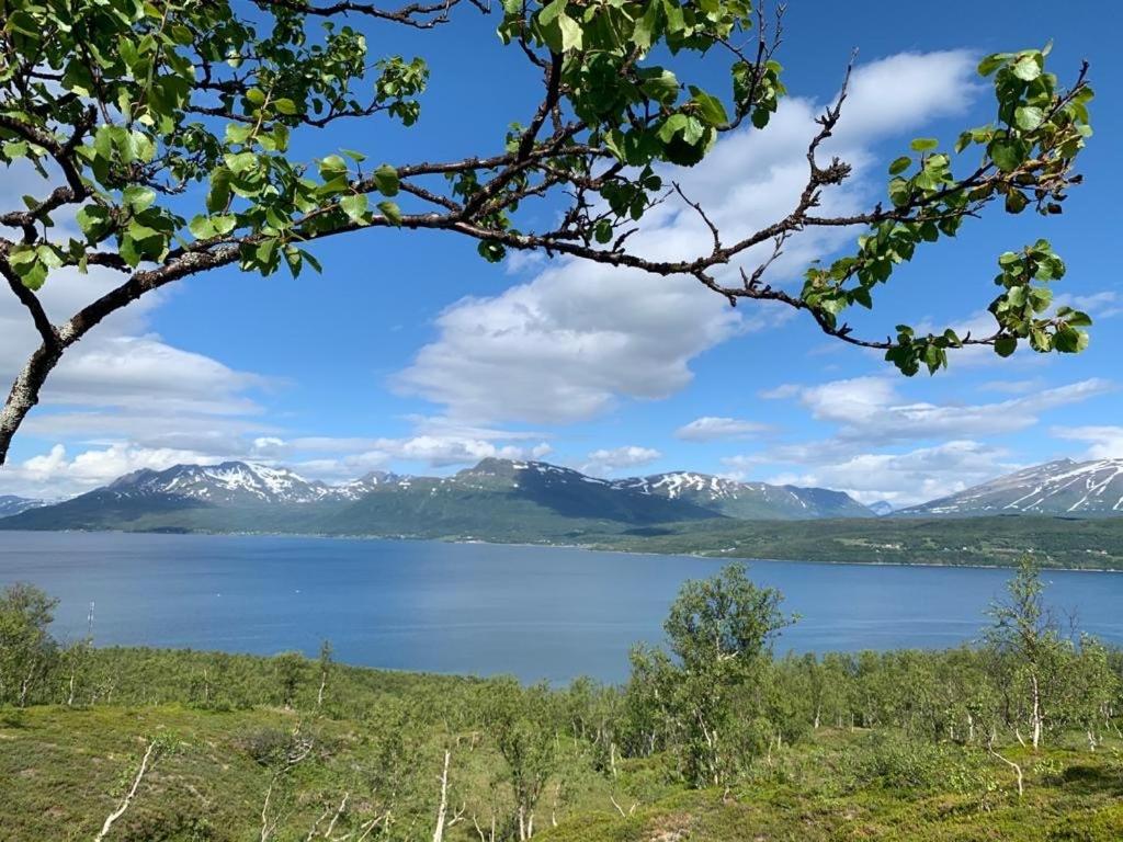 The Red Fjordhouse photo 4
