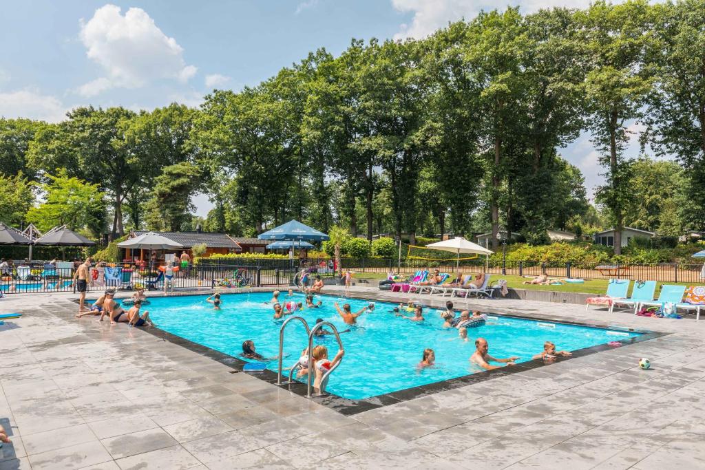 TopParken – Landgoed de Scheleberg photo 2