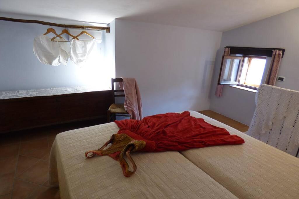 Il Nibbio - La Casa del Vasaio photo 4