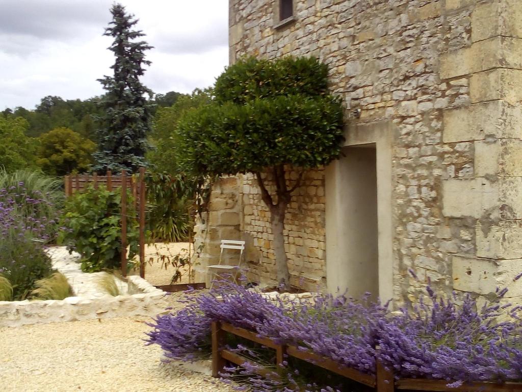 La Maison Tumtum Arbre photo 3