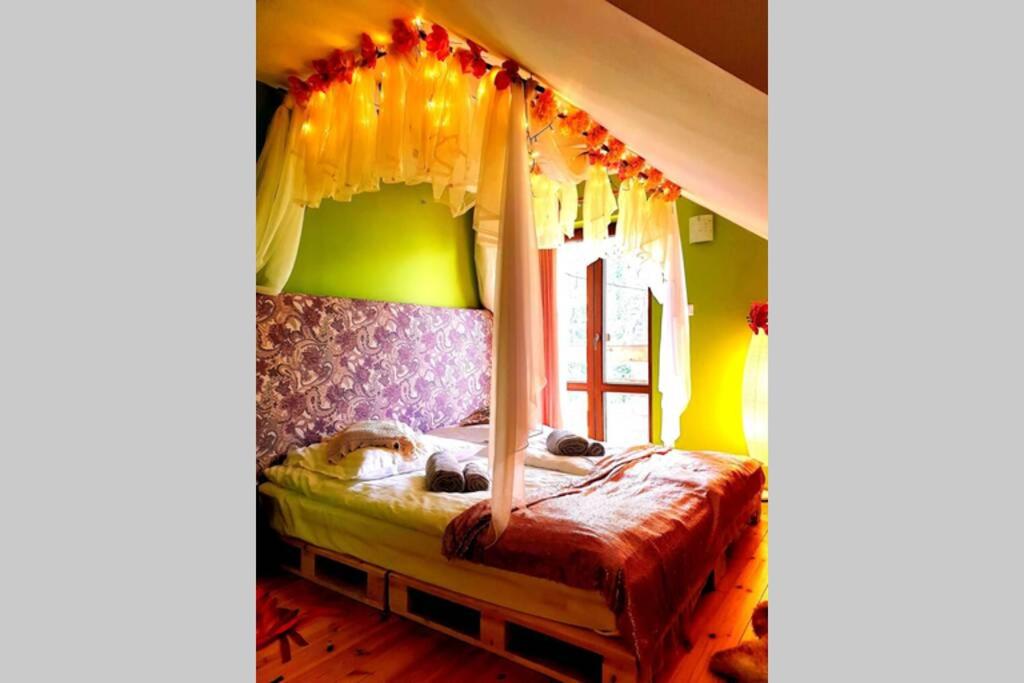 Klimatyczna Willa w stylu BOHO photo 4