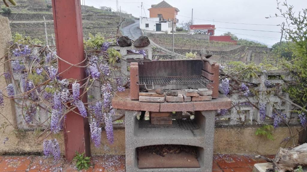 Casa Canarina photo 3
