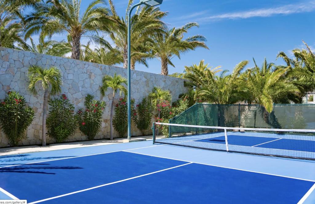 Bohari Palmilla photo 4