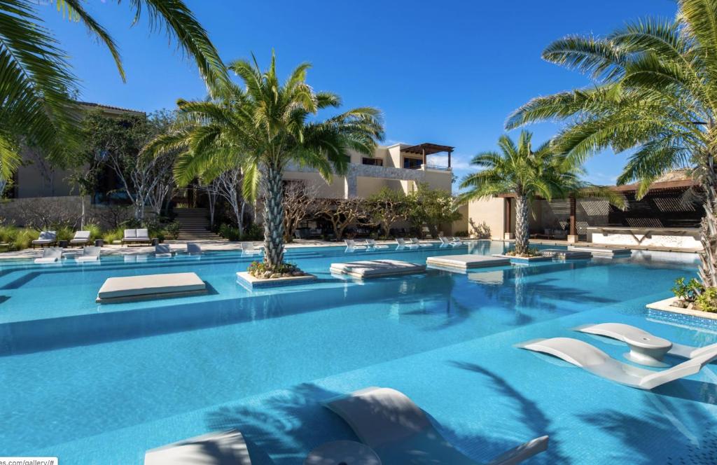 Bohari Palmilla photo 2