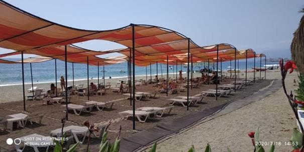 gold city alanya appartement photo 4