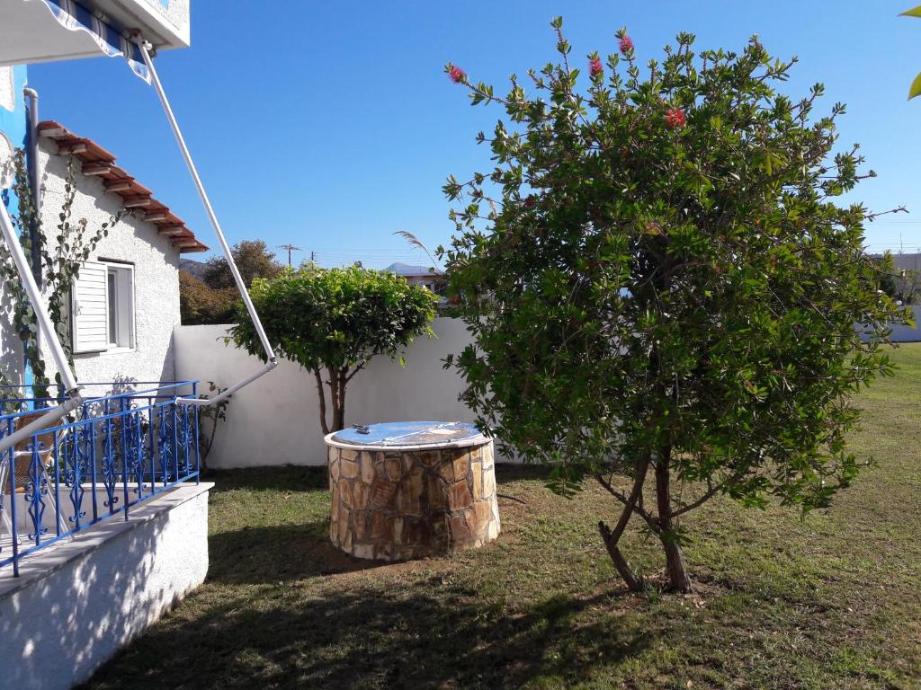 Panorama Hotel photo 2