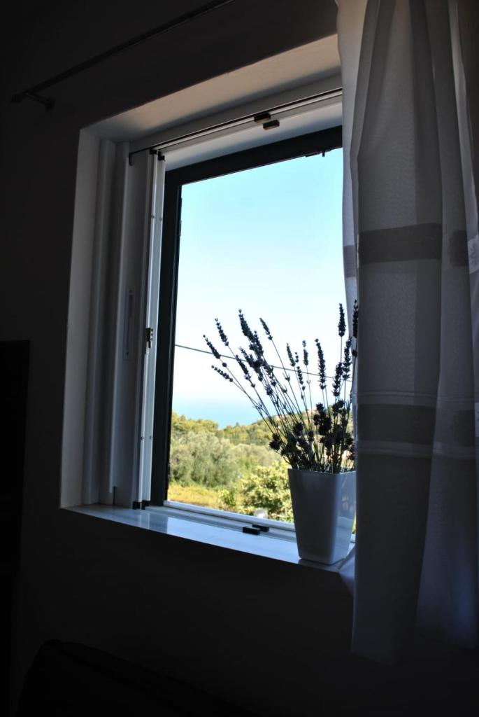 Monika Lefkada photo 2