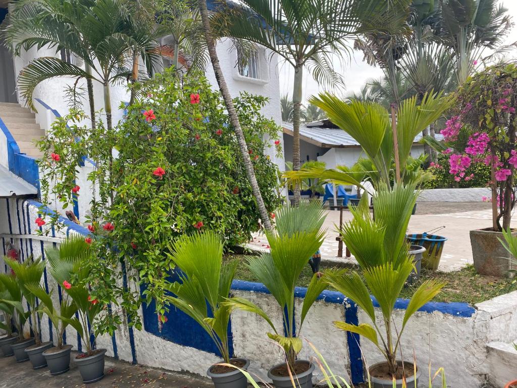 Hotel La Madrague photo 3