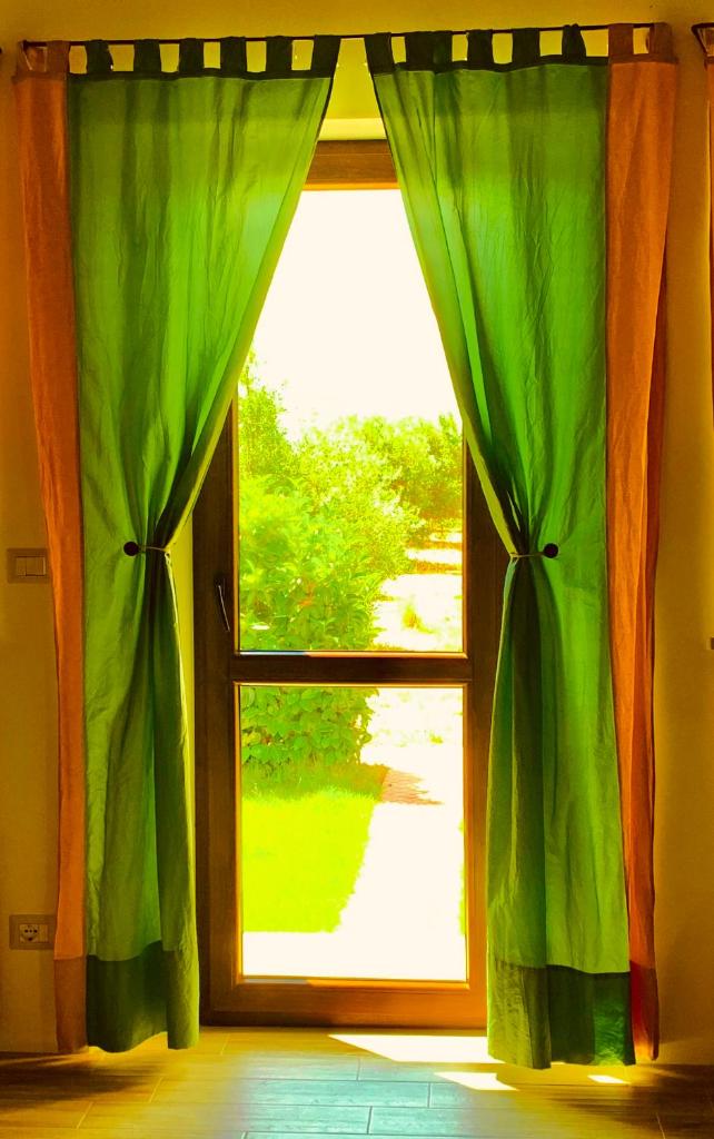 Olivandro photo 3