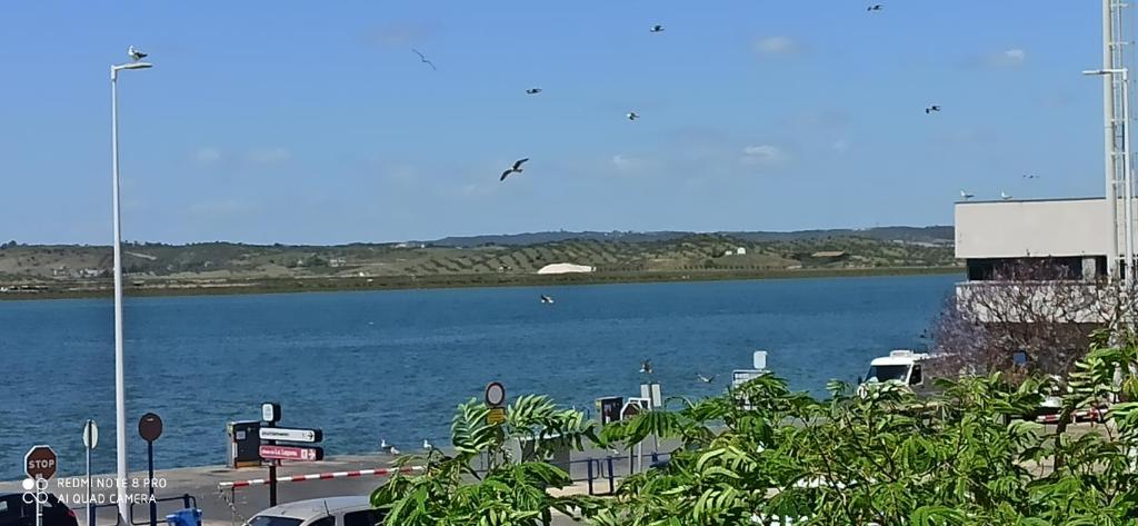 Suite Mirando al Guadiana photo 3