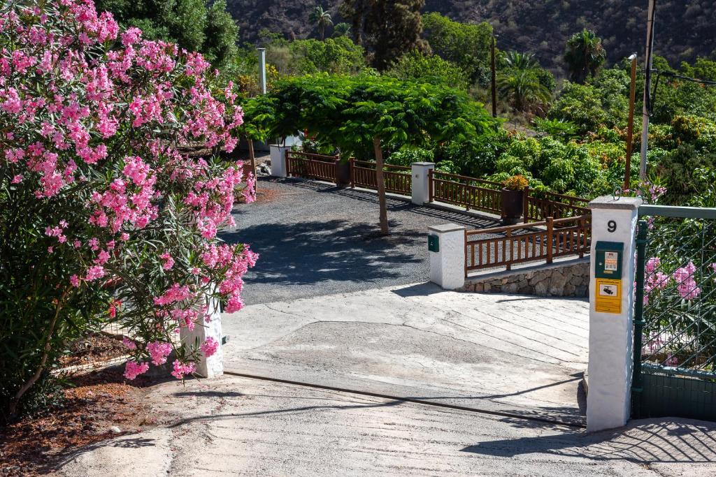 Finca el Moral photo 3