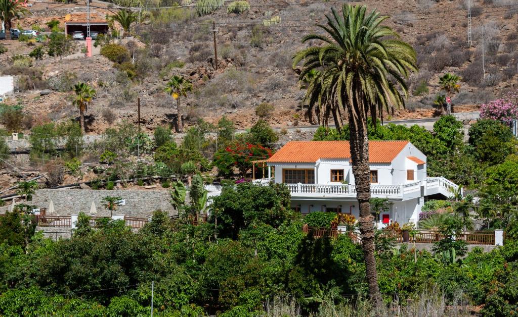 Finca el Moral photo 1